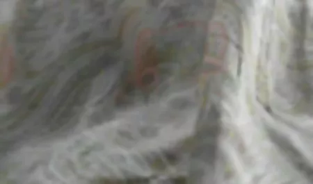Cuidar de su hermana y su ancianas teniendo sexo con jovenes hermano.
